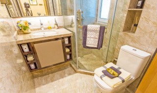 洗漱台适合放什么盆栽 适合洗手间放的盆景