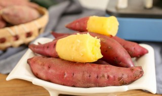 地瓜怎么种植盆栽（地瓜怎样栽）