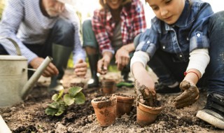 凤尾竹有毒吗适合室内养吗 凤尾竹对身体有害吗