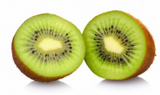 盆栽猕猴桃的种植方法（盆栽猕猴桃种植技术）