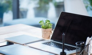 好听不常见的网名女（罕见好听的女网名）