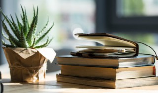 芦荟怎么养好 芦荟怎么养好看