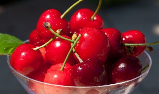 樱桃苗几年才能结果 樱桃实生苗几年结果