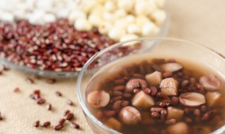 莲子什么季节吃好(莲子什么时候好吃)