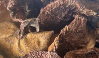 干松蘑怎么泡发清洗 干松蘑怎么泡发