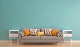 布艺沙发脏了又不能拆了洗怎么办（布沙发脏了拆不掉怎么办）