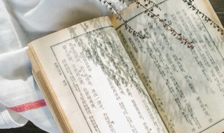 远之则逊近之则不恭什么意思（远之则不逊近之则不恭）