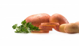 马铃薯种植技术方法是什么（马铃薯的栽培技术要点）