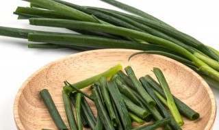 怎样种小葱 怎样种小葱苗教程视频