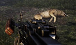 孤岛惊魂4怎么拉好友（孤岛惊魂4怎么邀请好友一起玩）