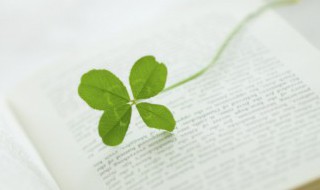 不慌不忙 不慌不忙的近义词