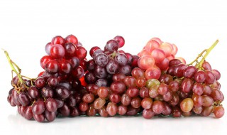 葡萄种植方法有哪些 葡萄的栽培技术葡萄种植的方法