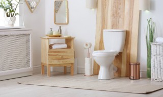 马桶盖子松动怎么修理手进不去 马桶盖螺丝松了手伸不进去怎么办