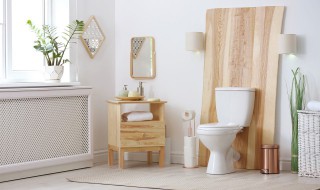 卫生间瓷砖污垢怎么去除(卫生间瓷砖的污垢怎么清除)