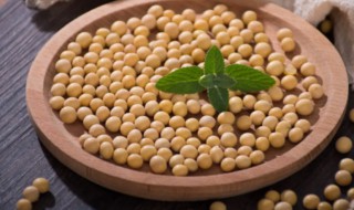 黄豆种植时间(黄豆种植时间和生长期)