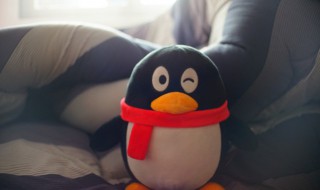 qq名女生简单气质 qq名女生简单气质最新