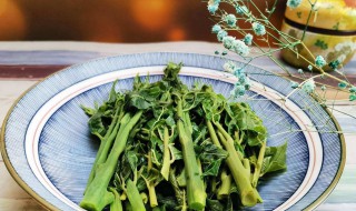 怎么腌制香椿芽 怎么腌制香椿芽好吃