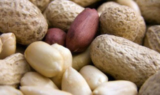 花生的原产地是哪个国家（花生最早产于哪个国家）