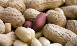 花生属于植物的哪一部分 花生还有什么名称属于植物哪个部分