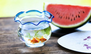 养鱼的水可以浇菜吗（养鱼水种菜还要不要施肥）