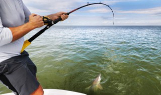 下雨天可以钓鲢鳙鱼吗（下雨过后可以钓鲢鳙鱼吗）