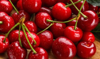 盆栽樱桃冬天在室内还是在 看樱桃盆栽冬天要移到室内吗