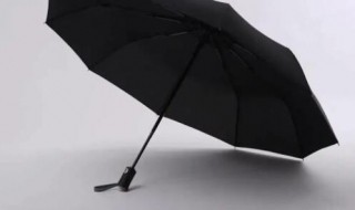 内黑胶太阳伞能淋雨吗（黑胶太阳伞可以遮雨吗）