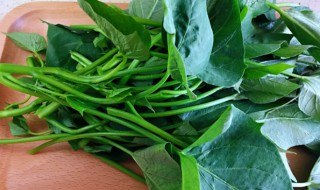 红薯叶怎么保存不会烂掉 新鲜红薯叶怎样保存不变质