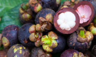 南方适合种植山竹吗 南方可以种植山竹吗