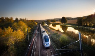 宠物怎么带上高铁 宠物怎么带上高铁 vip