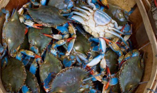 梭子蟹水煮多长时间 梭子蟹水煮要多长时间