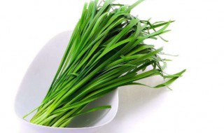 韭菜怎么栽 韭菜怎么栽培好