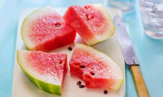 西瓜属于什么类植物啊（西瓜属于什么科植物）