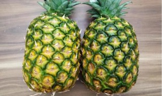 菠萝属于植物的哪一部分 菠萝属于哪种植物