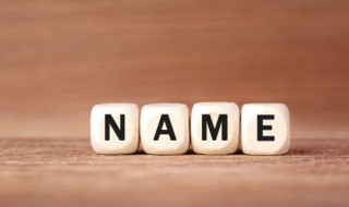 纯四个字诗意公会名字（好听的公会名字诗意的五个字）