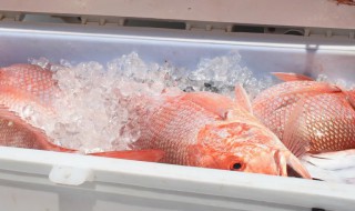 鲜鱼如何在冰箱保鲜 鲜鱼怎么存放冷冻