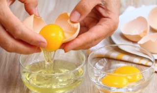 在食品分类中鸡蛋属于哪一类 鸡蛋属于食物哪一类