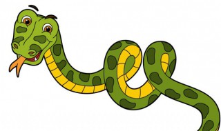 大王蛇的养殖方法（大王蛇养殖基地）