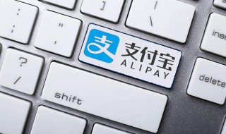 支付宝电子公交卡怎么用（支付宝电子公交卡怎么用不了）