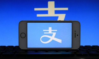 怎么开通支付宝商家收款码 没有营业执照怎么开通支付宝商家收款码