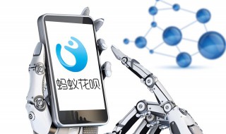 支付宝里的花呗怎么还款（支付宝里的花呗怎么还款没有找到立即还款）