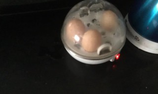 迪士尼煮蛋器怎么使用 迪士尼扭蛋怎么打开