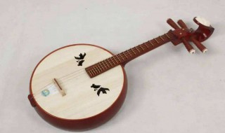 在民族乐器中阮属于哪类乐器 阮属于民族乐器吗