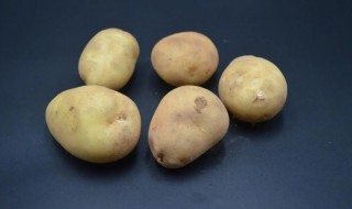 土豆怎么保存时间最长 土豆怎么能保存时间长