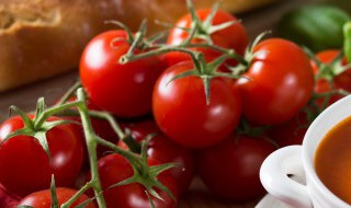 番茄是双子叶植物还是单子叶植物 西红柿是双子叶还是单子叶植物