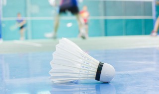 春节打羽毛球祝福语（祝羽毛球比赛祝贺话语）