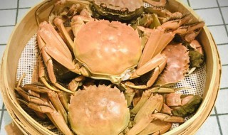 稻田蟹的做法 稻田蟹的做法怎么做好吃
