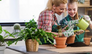 陆地上哪些植物在水里也可以生长 什么植物能在水底生长