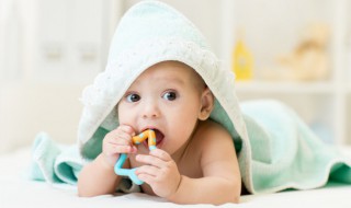 带木的女孩名字（属木的女孩名字有哪些）