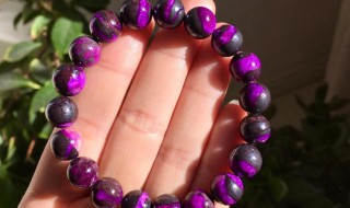 什么是舒俱来呢 舒俱来为什么叫舒俱来